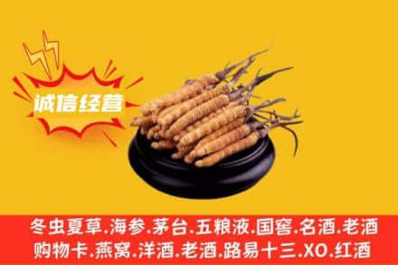 山南加查县回收冬虫夏草